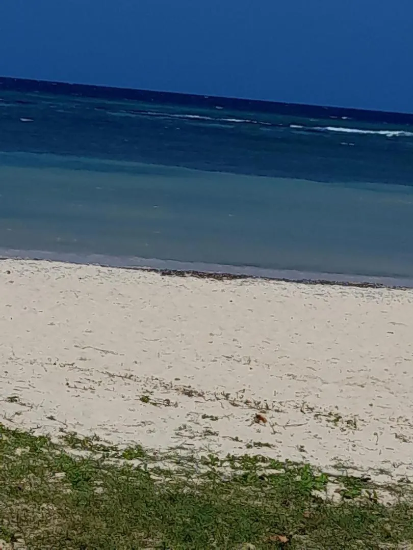 Appartamento Sea Castles La Vue Montego Bay